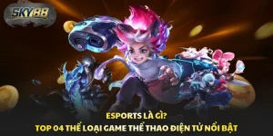 Esports Là Gì? Top 04 Thể Loại Game Thể Thao Điện Tử Nổi Bật