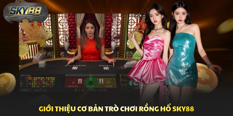 Giới thiệu cơ bản trò chơi Rồng Hổ Sky88