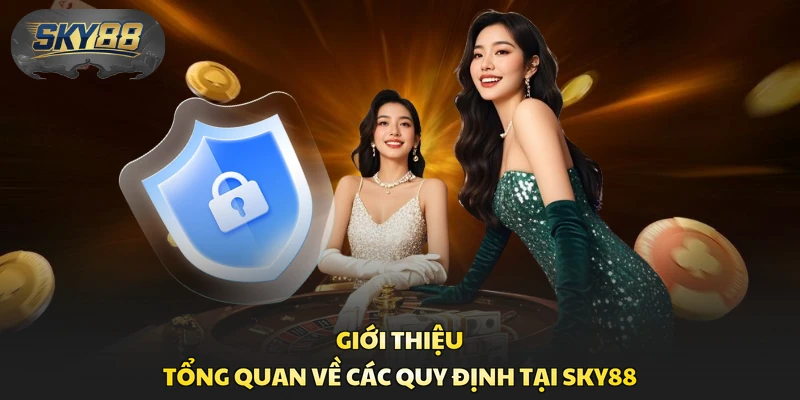 Giới thiệu tổng quan về các quy định tại Sky88