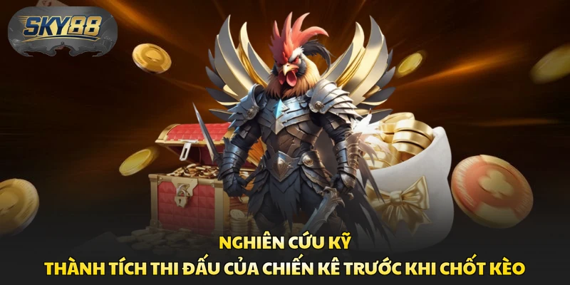 Nghiên cứu kỹ thành tích thi đấu của chiến kê trước khi chốt kèo